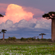 Imagen para el artículo titulado 10 lugares que deberías visitar antes de que desaparezcan